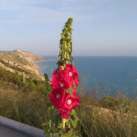 Alfonso Con Vista Mare Villa